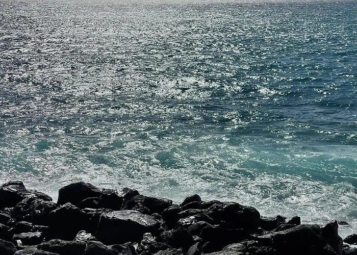 Oasis 1-bedroom Ocean View Large Terrace Pool Full Kitchen *